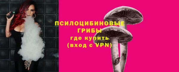винт Надым